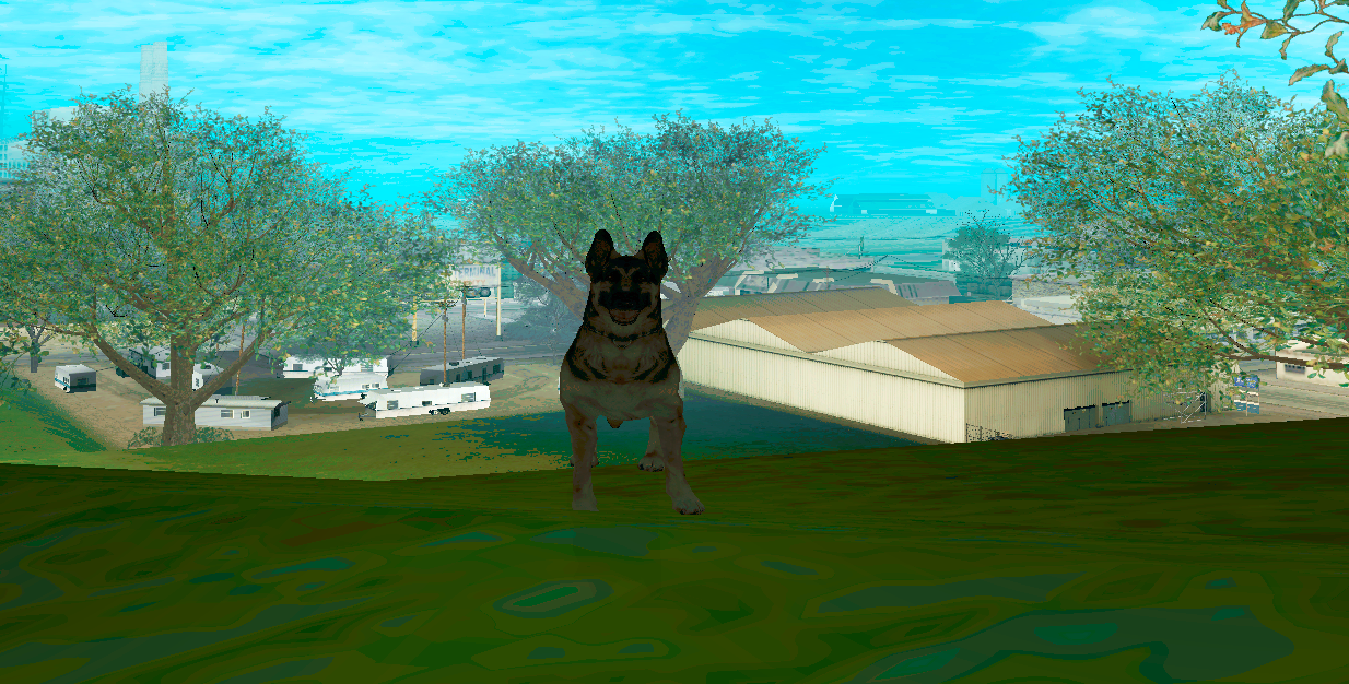 Perro