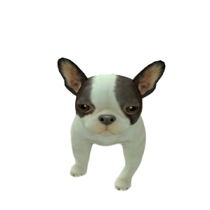 Skin 122
