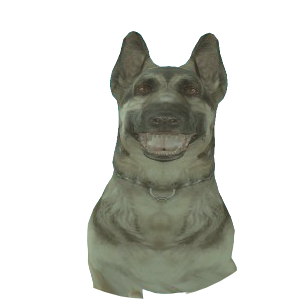 Skin 144
