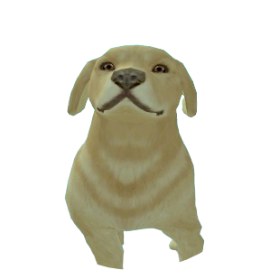 Skin 181