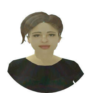 Skin 193