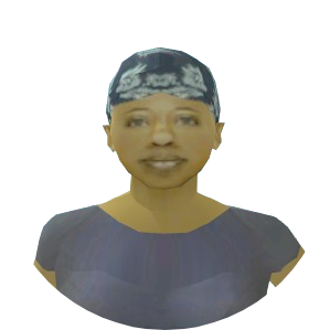 Skin 195