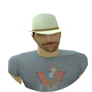Skin 202