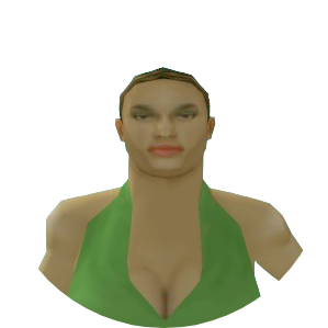 Skin 207