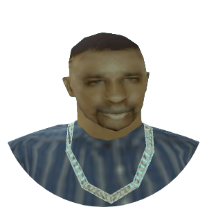 Skin 21