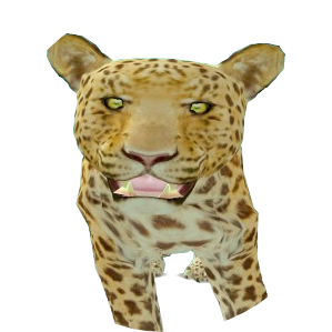 Skin 227