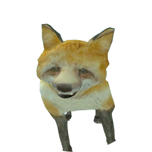Skin 232