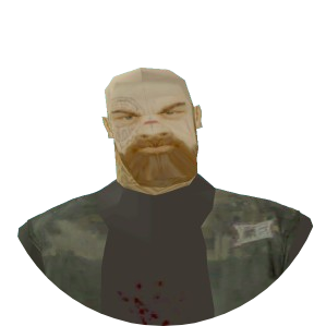 Skin 248