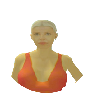 Skin 251