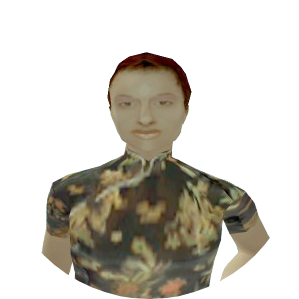 Skin 263