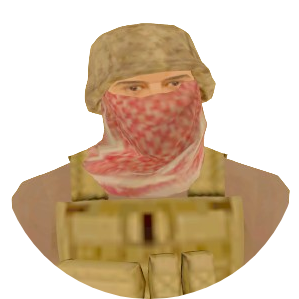 Skin 266