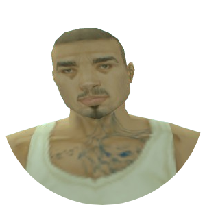 Skin 282