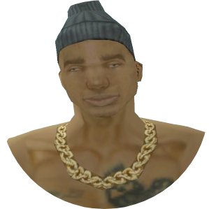 Skin 293