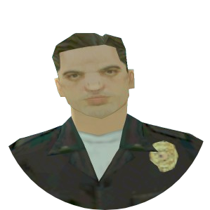 Skin 300