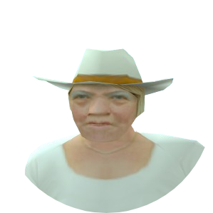 Skin 31