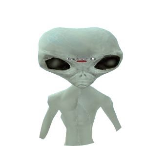Skin 5