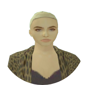 Skin 65